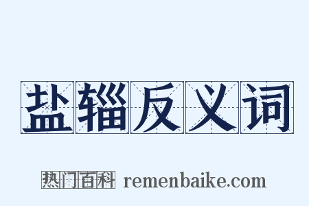 盐辎反义词是什么意思的图片